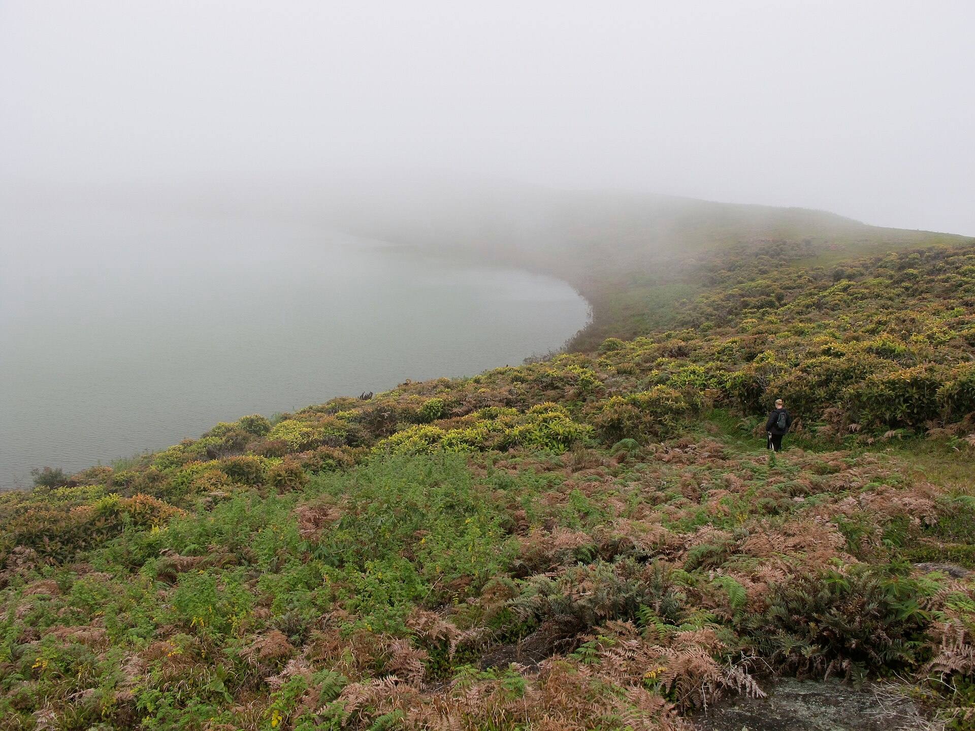 Mist over El Junco crater lake and the highland vegetation of San Cristóbal
