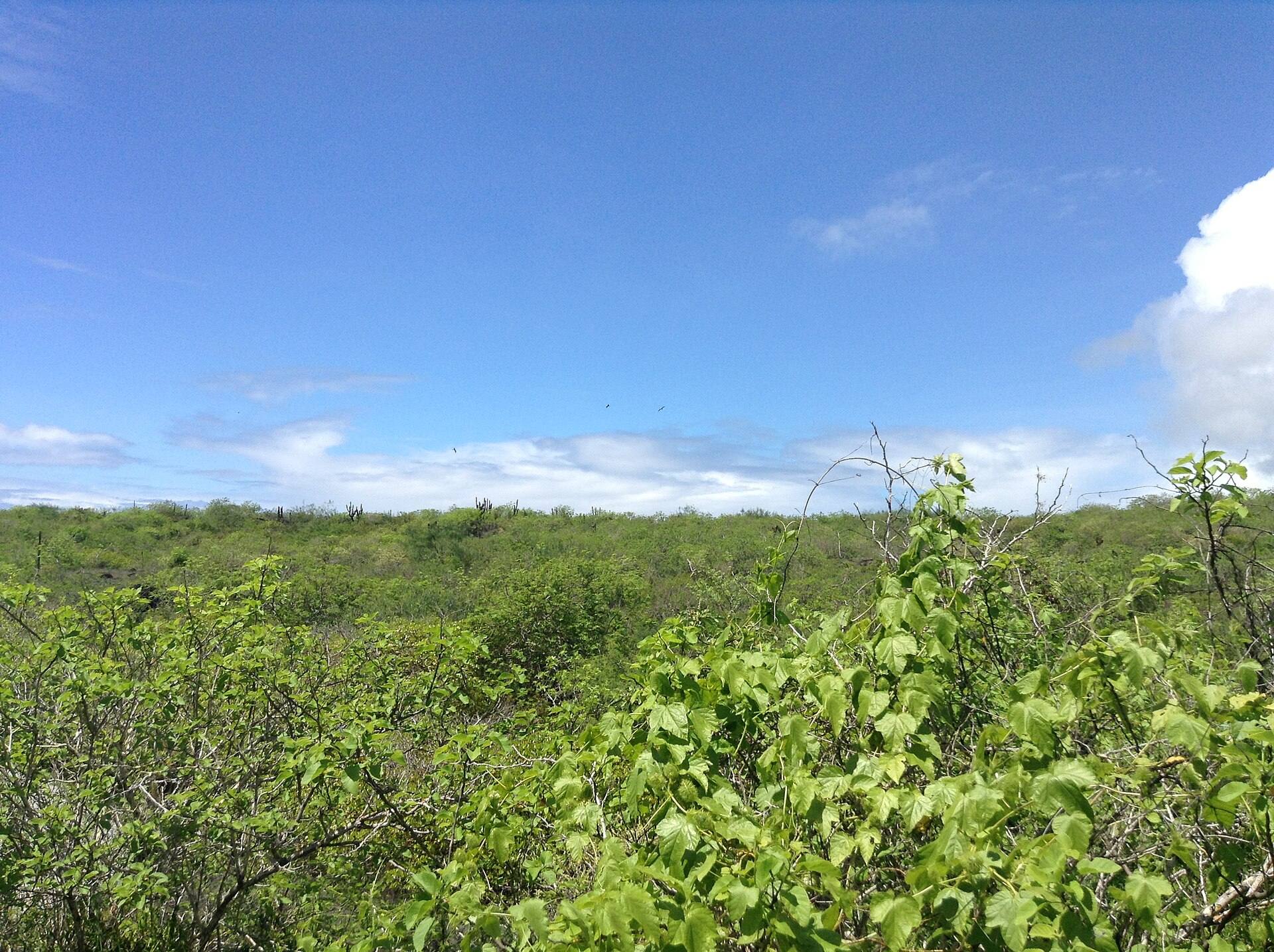 Green hills and fields in the highlands of San Cristóbal.